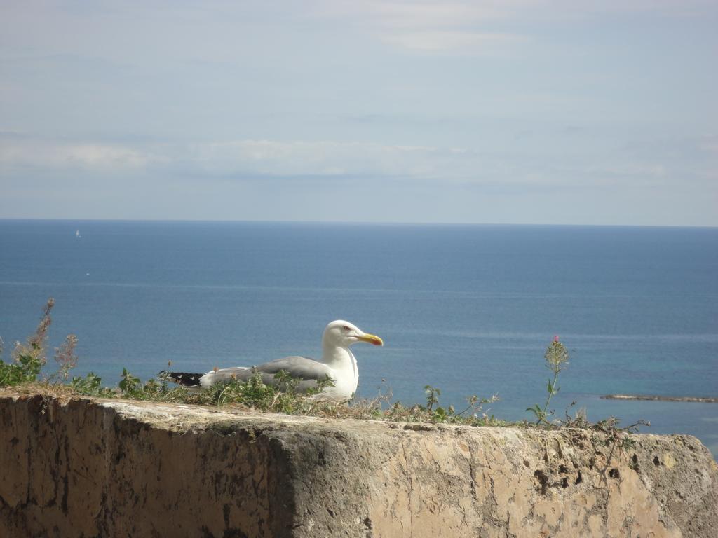 Apartamento Retiro Denia Exteriér fotografie